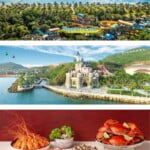 NHA TRANG - VINPEARL